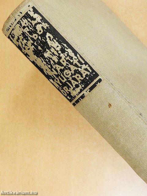 Napnyugati őrjárat