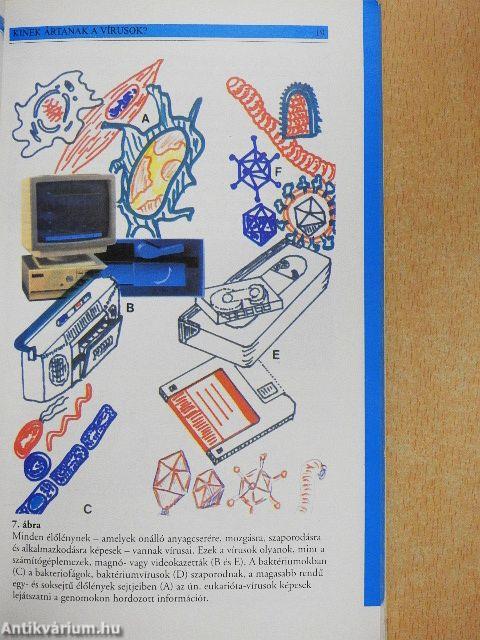 Kinek ártanak a vírusok