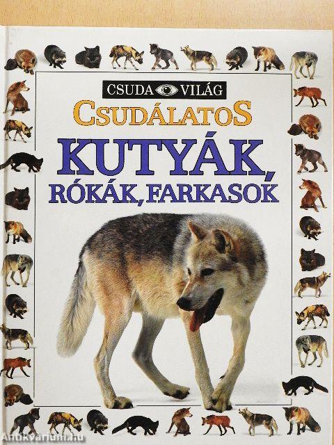 Csudálatos kutyák, rókák, farkasok