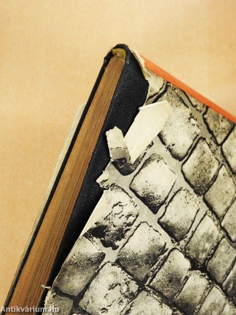 Egy fekete notesz titkaiból