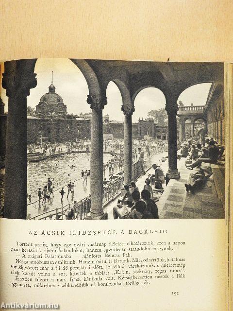 Egy fekete notesz titkaiból