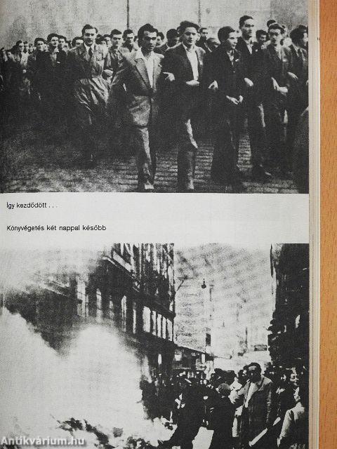 Az ellenforradalom utóvédharca