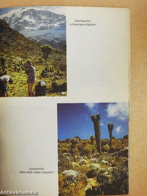 Magyarok a Kilimandzsárón