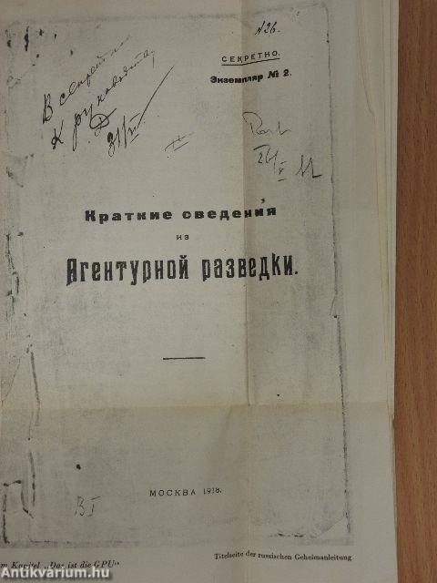 Diplomatische Unterwelt