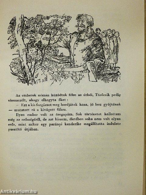Dióbél királyfi és társai