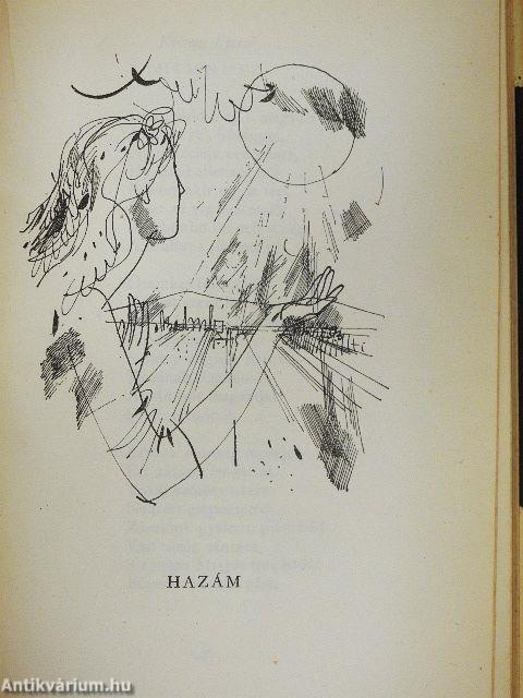 Fölszállott a páva...