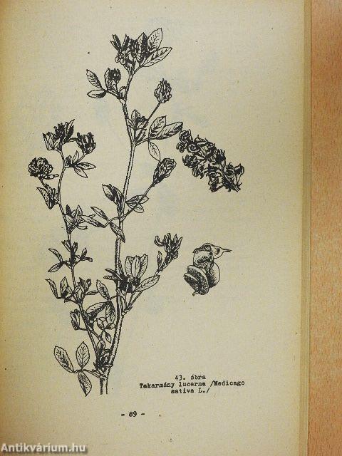 Legelő- és rétműveléstani praktikum