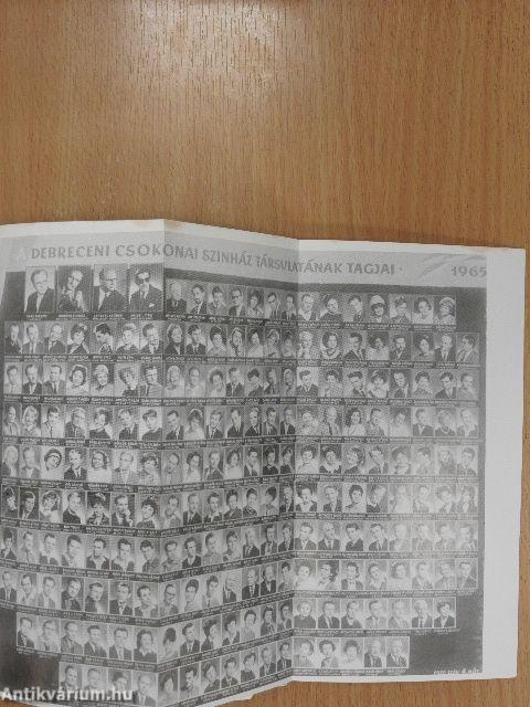 A kacér múzsát szolgáltam (dedikált példány)