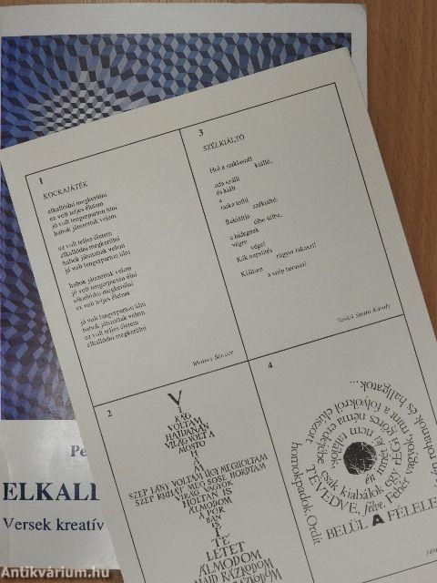 Elkallódni megkerülni (dedikált példány)