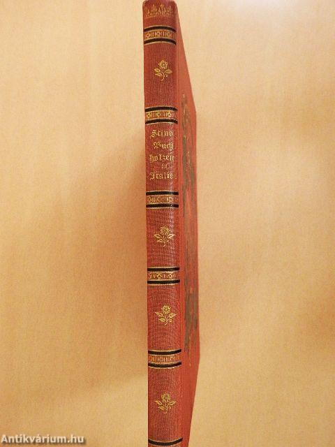 Buchholzens in Italien (gótbetűs)