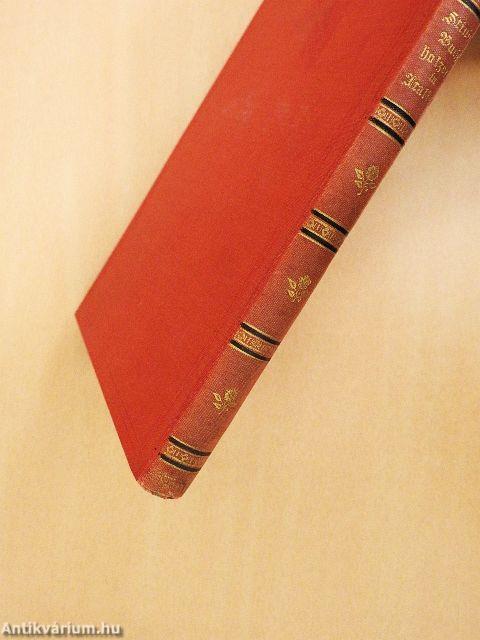 Buchholzens in Italien (gótbetűs)