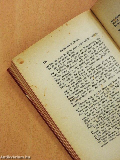 Buchholzens in Italien (gótbetűs)