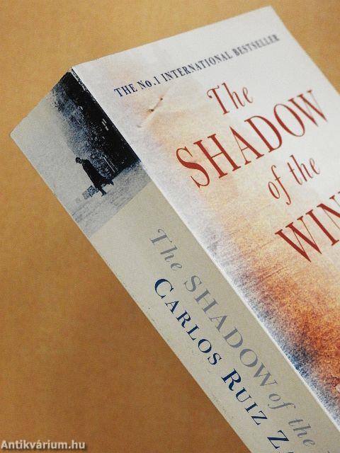 The shadow of the wind
