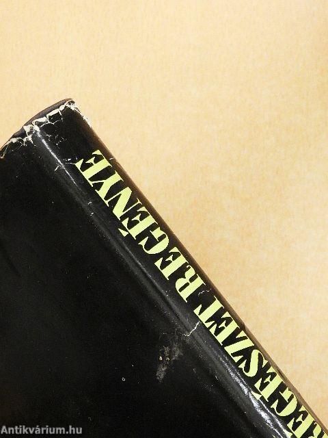 A régészet regénye