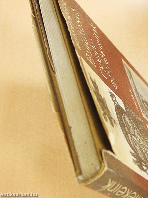 Bujdosó nyelvemlékeink