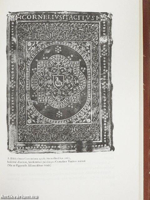 Bujdosó nyelvemlékeink