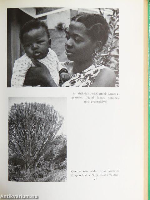 Tudományos tudósítóink jelentik