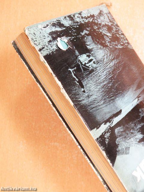 Csillogó vízgyűrűk