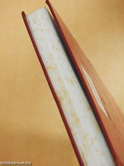 Egyetemes felelősségtudat