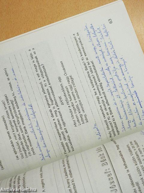 Irodalmi munkafüzet középiskolásoknak II.