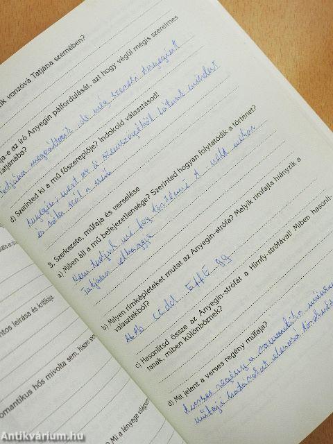 Irodalmi munkafüzet középiskolásoknak II.