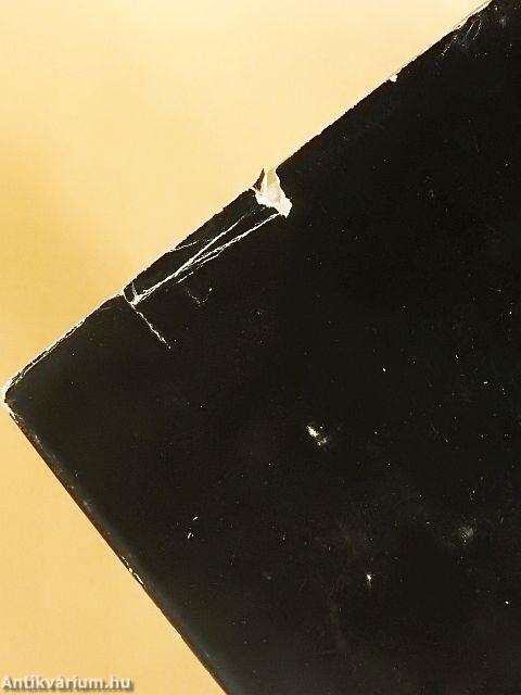 Találkozások a világhírrel