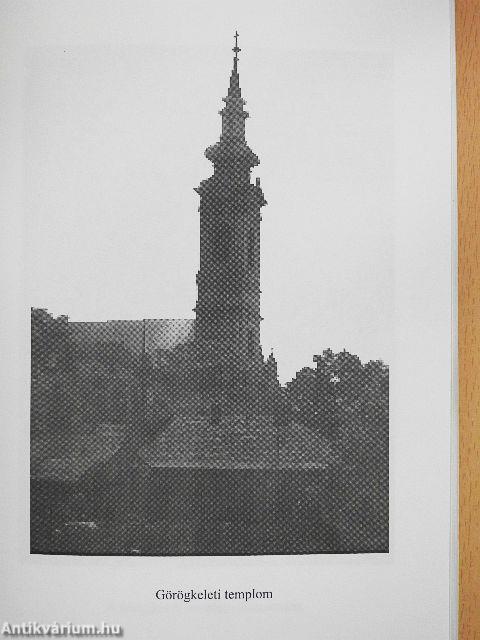 Az elit Miskolc város társadalmában