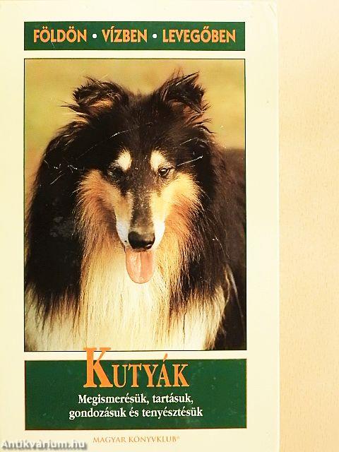 Kutyák