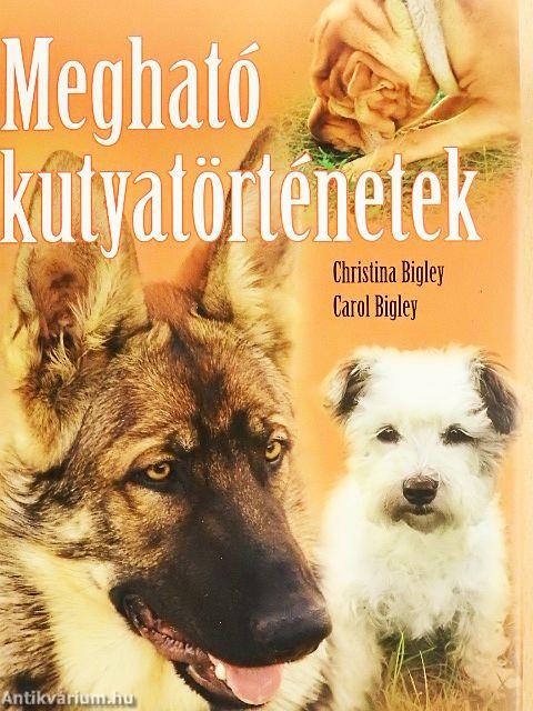 Megható kutyatörténetek