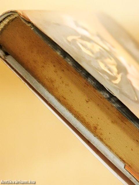 Megható kutyatörténetek