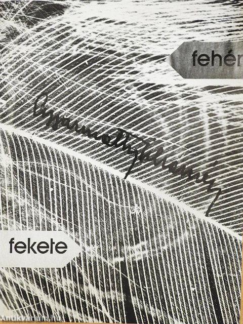 Fehér-fekete