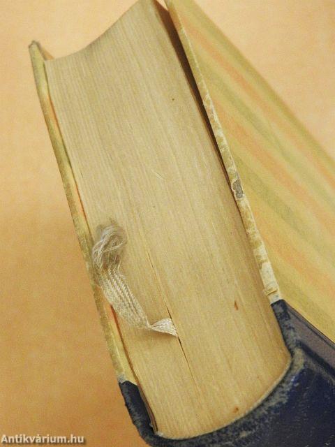 Versuchung in Budapest