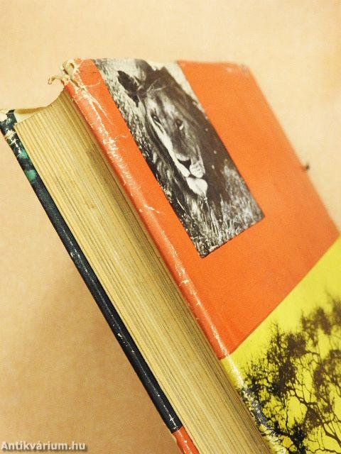 Így láttam Afrikát