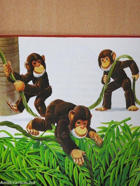 Párnás fülű Fáni fára mászik