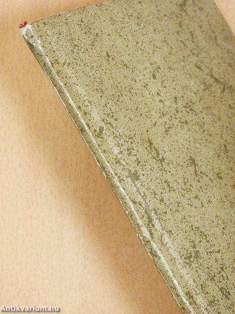 Honfoglalók között