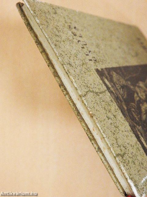 Honfoglalók között