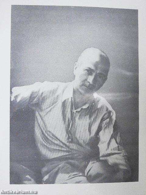 Honfoglalók között