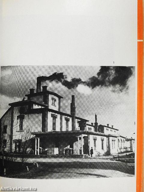 Ötvenéves a kapuvári Húsüzem