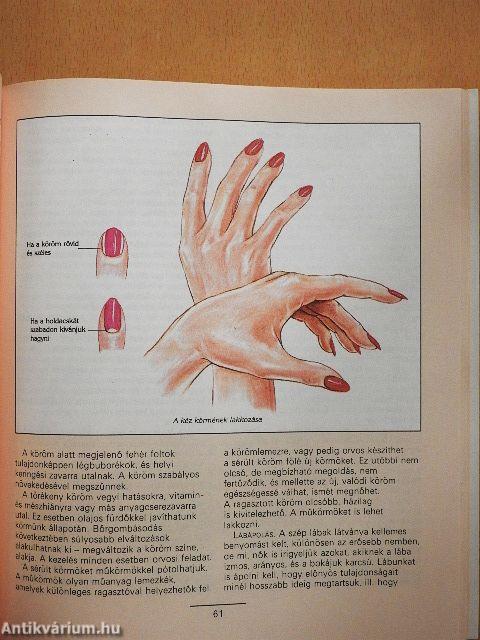 A bőr és a szépség