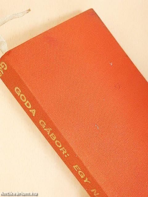 Egy naplopó naplója