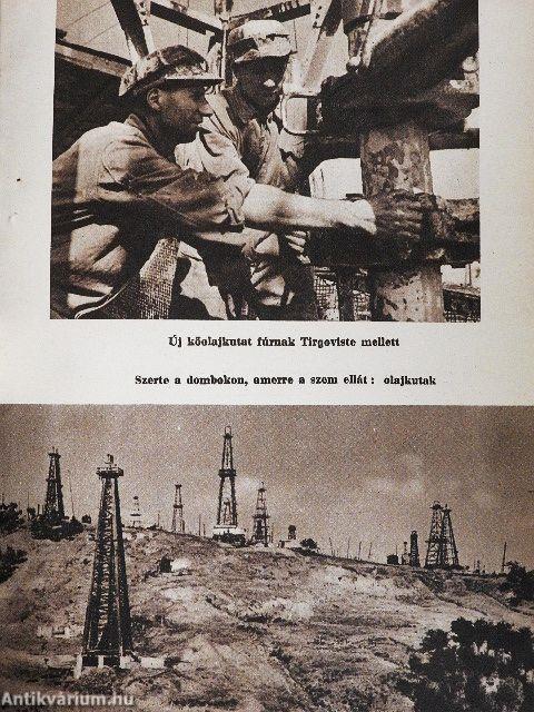 Székelyek üzenik