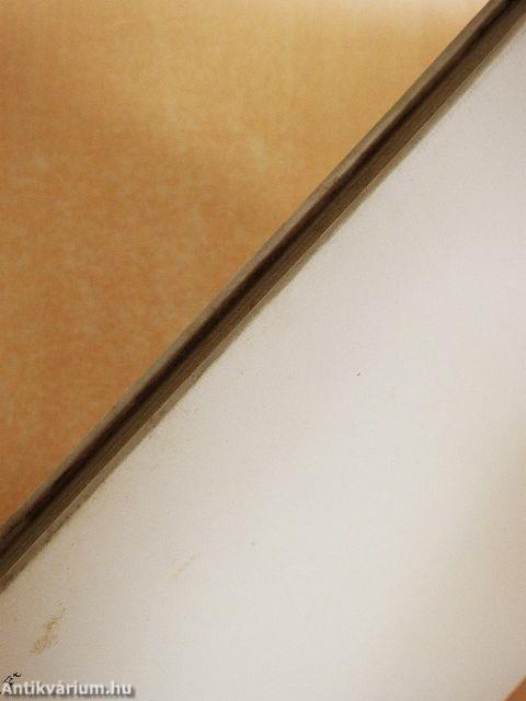 Modern francia festmények