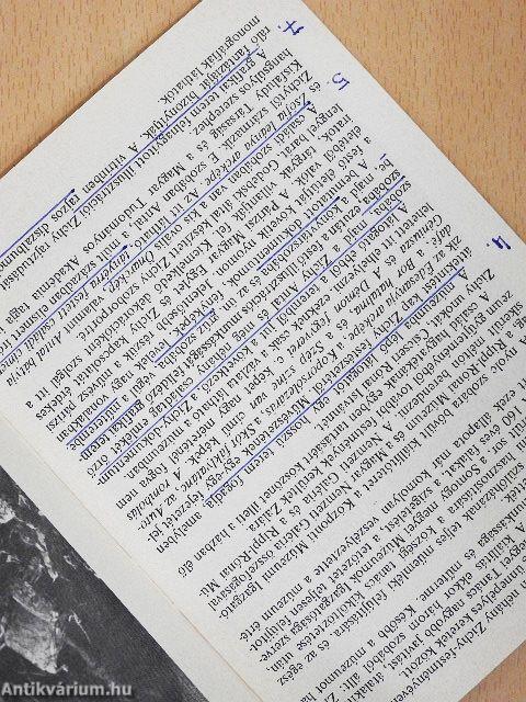 Zala - Zichy Mihály Emlékmúzeum