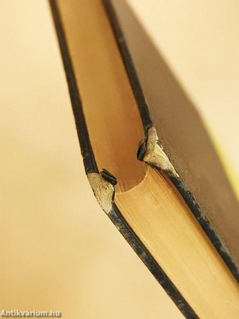 Die Abenteuer des braven Soldaten Schwejk während des Weltkrieges (gótbetűs)