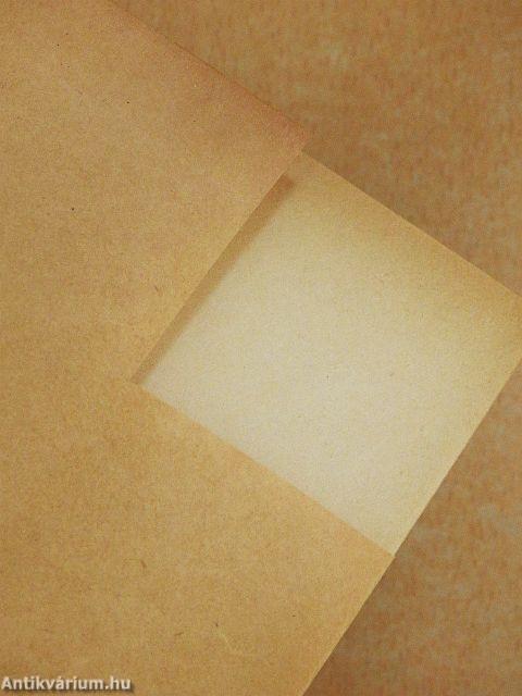 Die Abenteuer des braven Soldaten Schwejk während des Weltkrieges (gótbetűs)