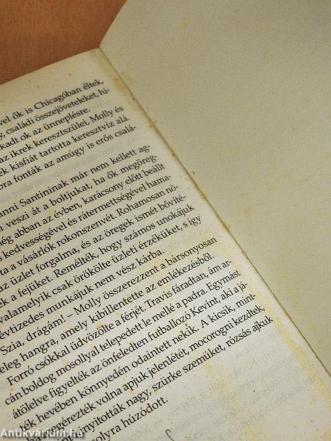 A szerelem szárnyán