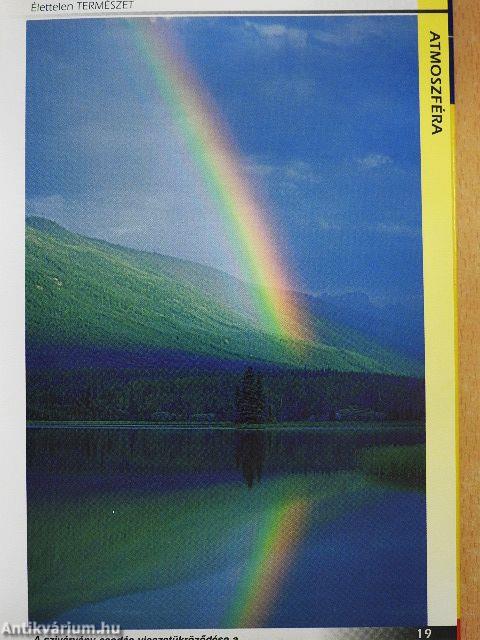 Élettelen természet