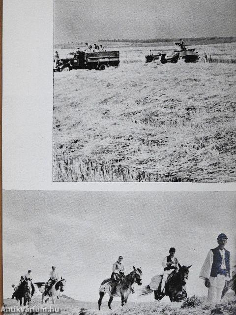 Nagyszeben és környéke