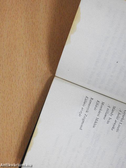 Egy előre bejelentett gyilkosság krónikája