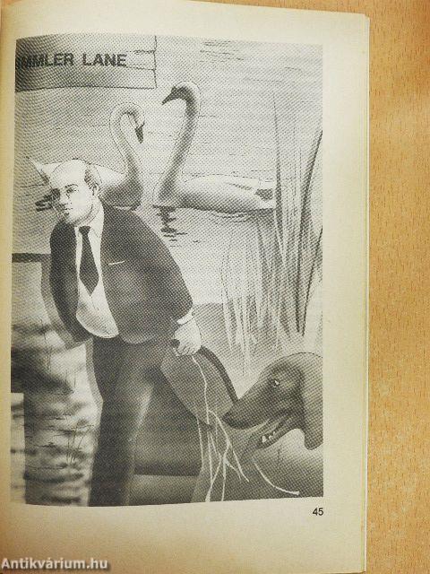 A titokzatos mocsár